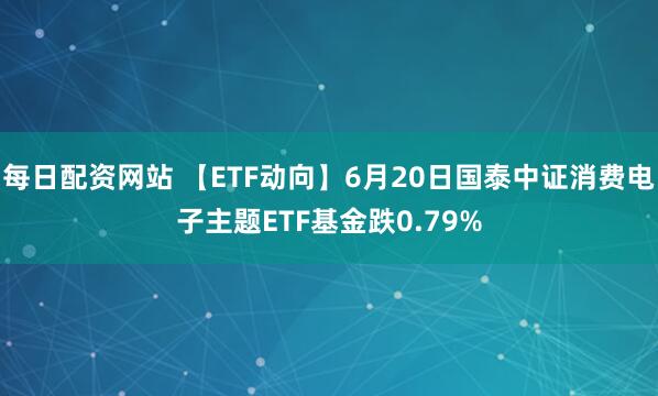 每日配资网站 【ETF动向】6月20日国泰中证消费电子主题ETF基金跌0.79%
